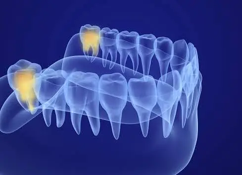 Myers Park Dental Partners