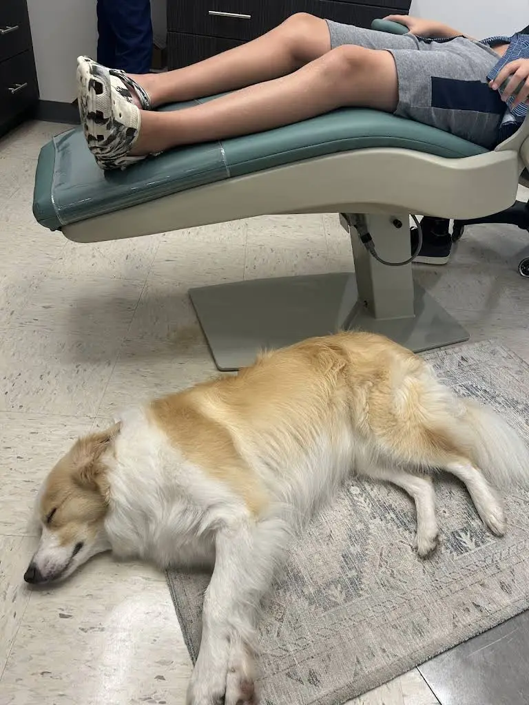 Aloha Orthodontics