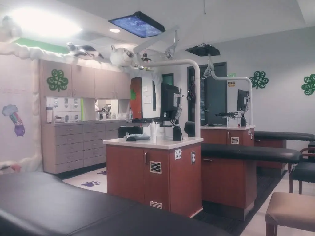 Young and Polite Children's Dentistry @ University