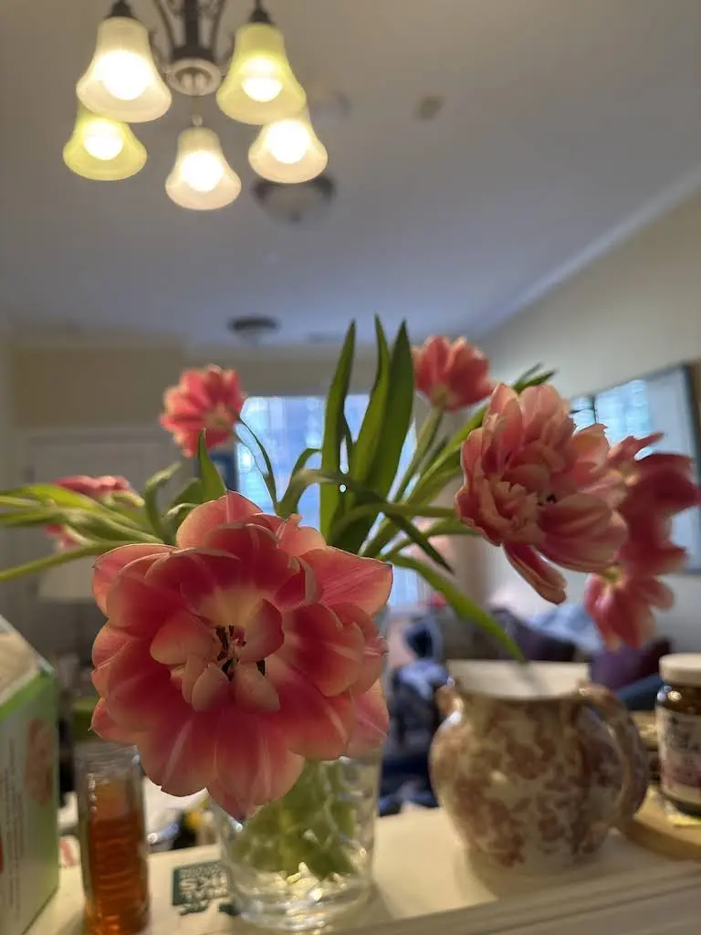 LandMark Dentistry Charlotte