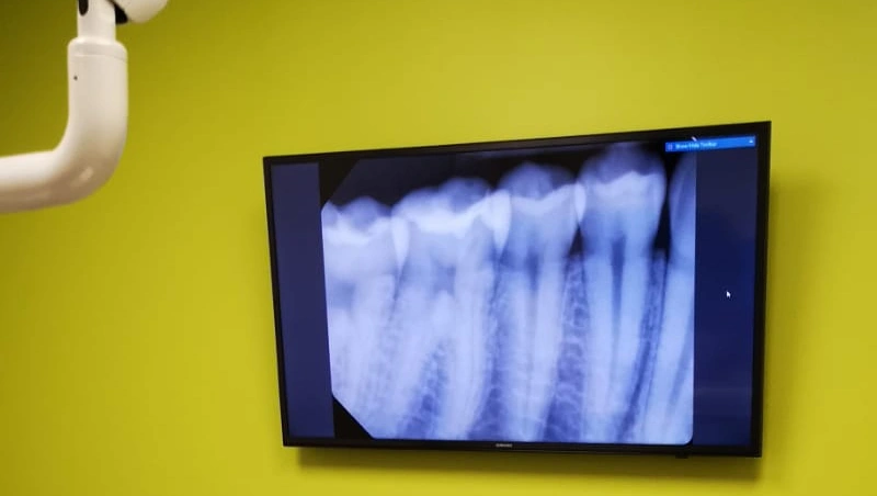 Fresh Dental