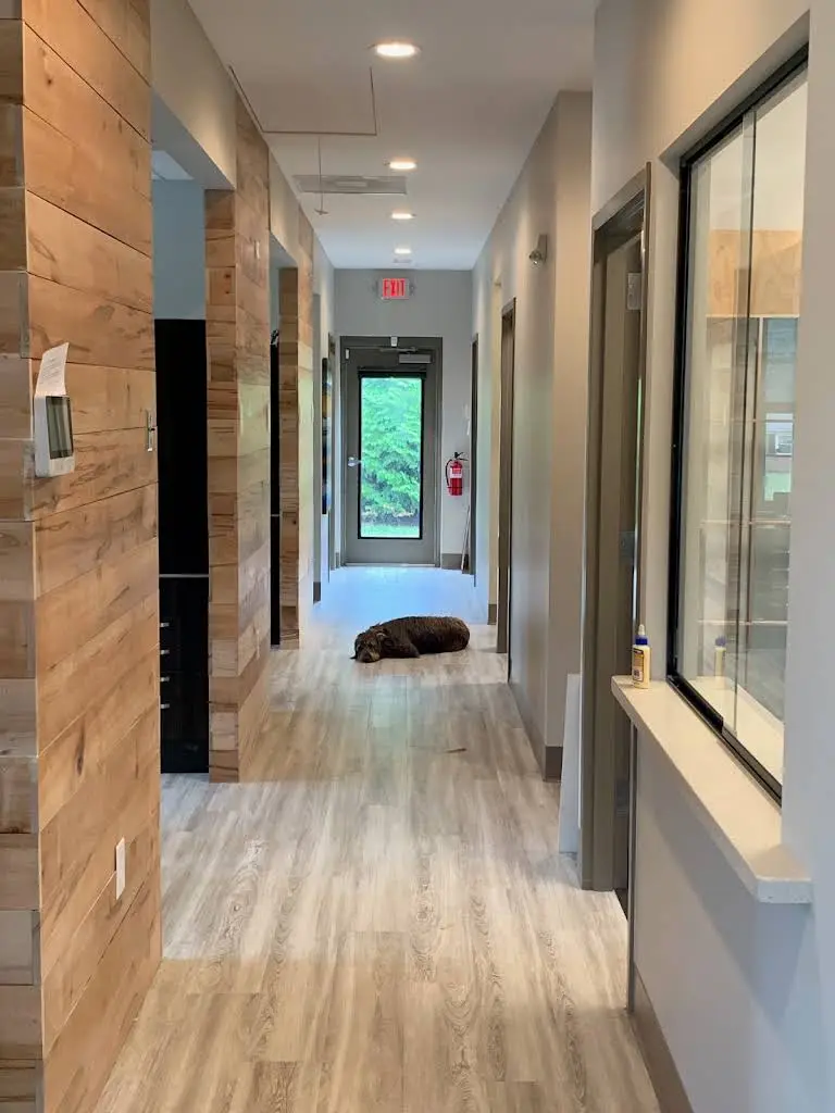 Summerfield Dentistry