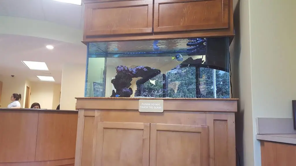 Crisp & Associates Pediatric Dentistry