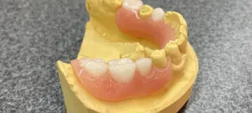A1 Dental Services