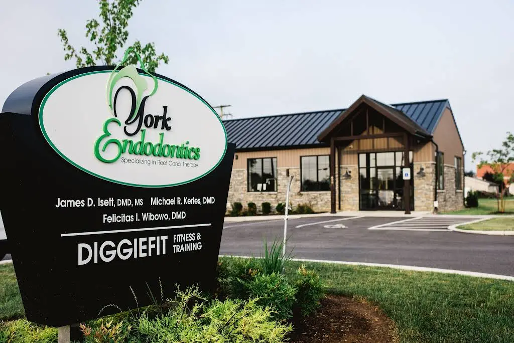 York Endodontics