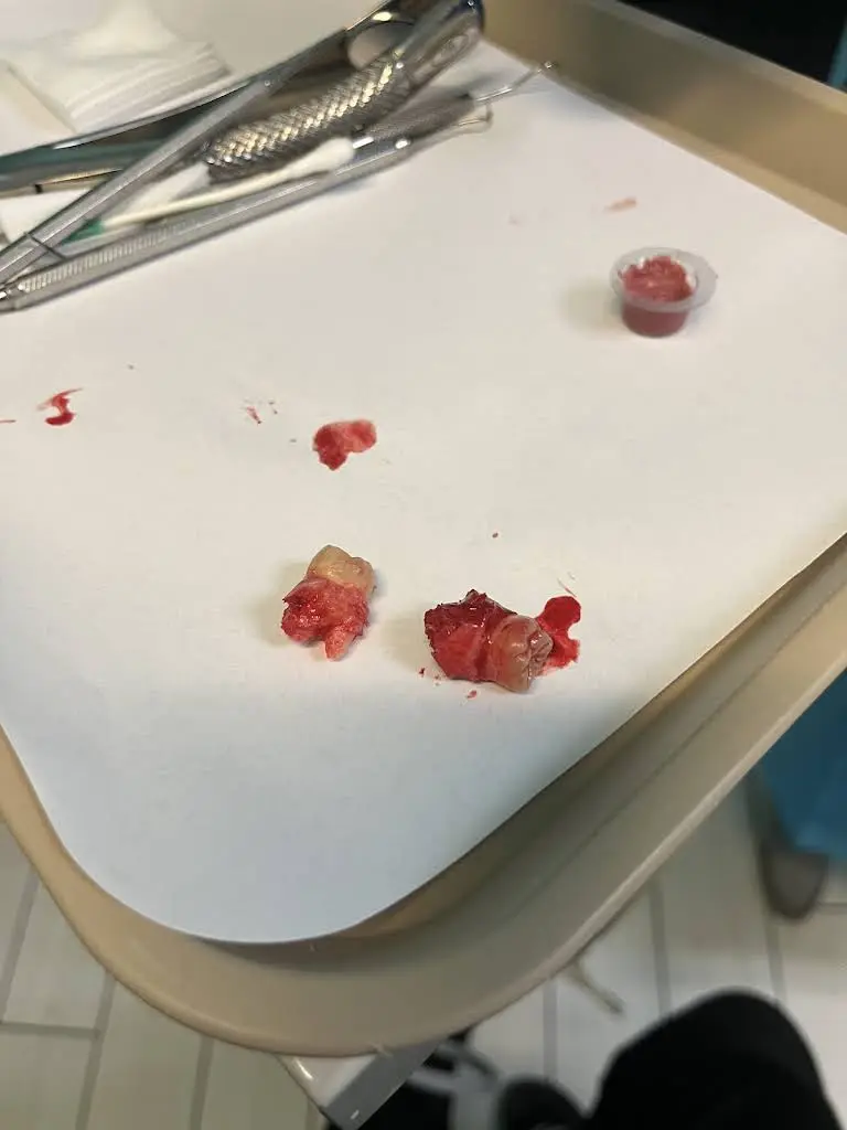 Clarksburg Dental Care