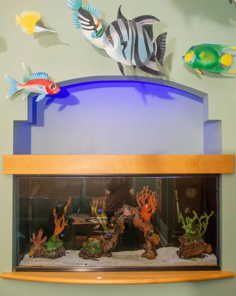 Raleigh Pediatric Dentistry