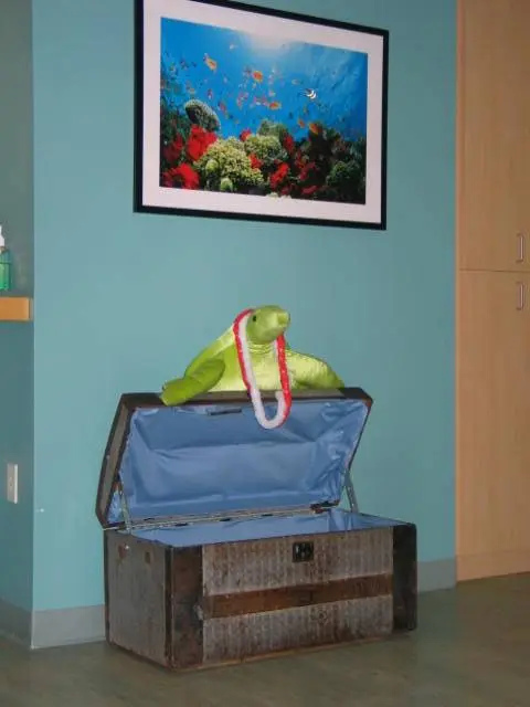 Raleigh Pediatric Dentistry