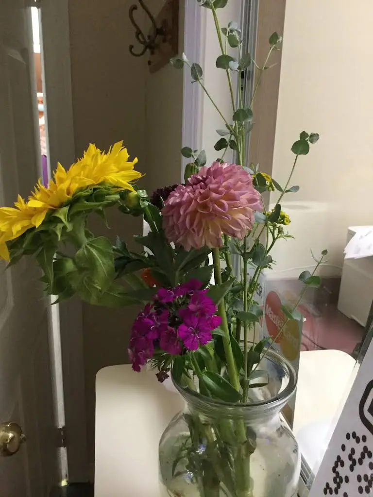 A Healthy Smile