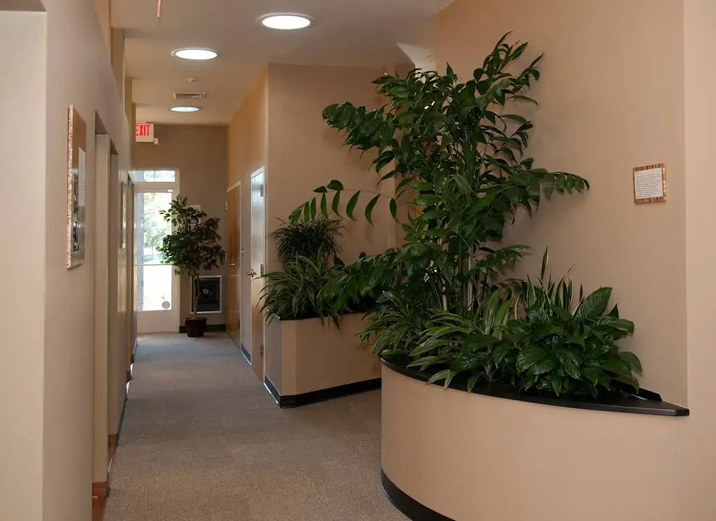 Sandston Comprehensive Dentistry