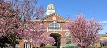 Ballantyne Dentistry