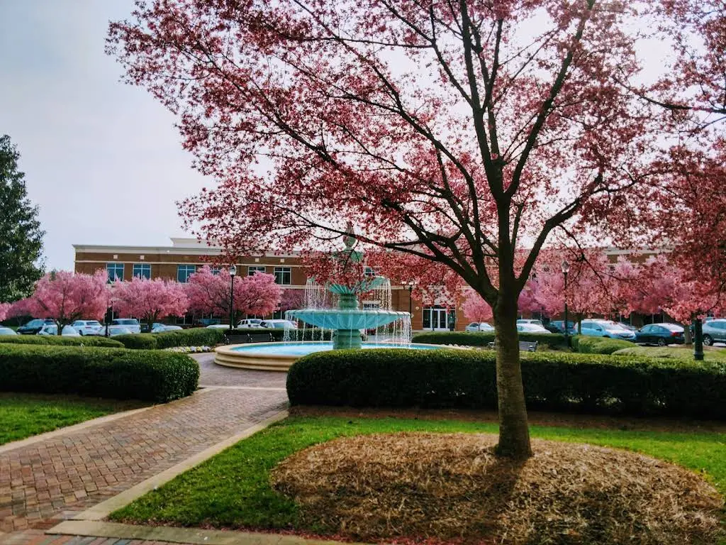 Ballantyne Dentistry