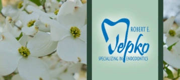 Robert E Jepko, DDS PA