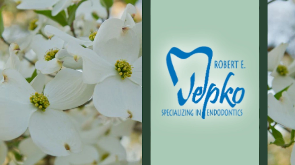 Robert E Jepko, DDS PA