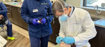 MyOrthodontist Roanoke Rapids