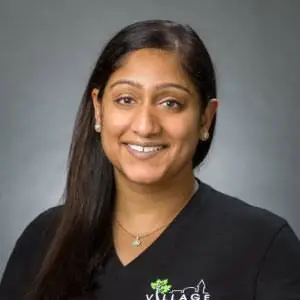Village Dental - Wake Forest