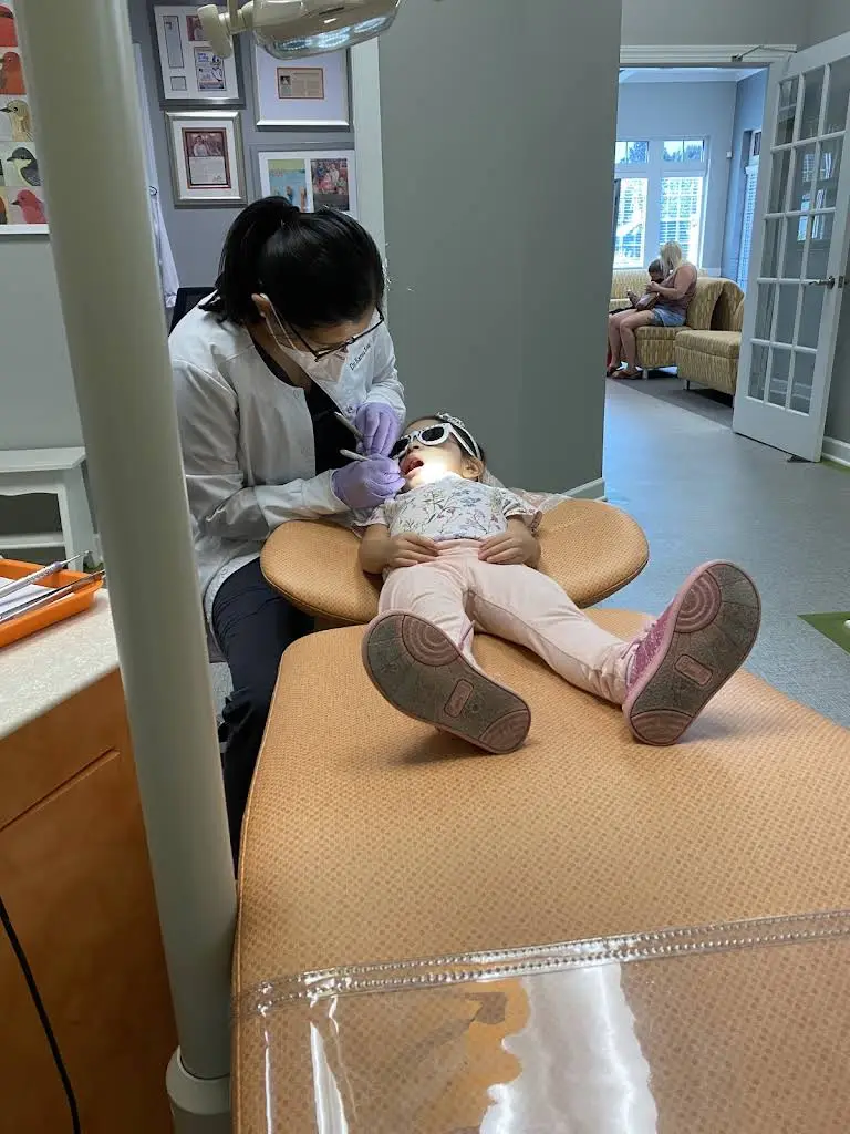 Bird Pediatric Dentistry