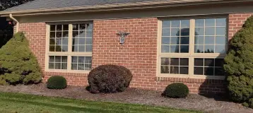 Merit Dental