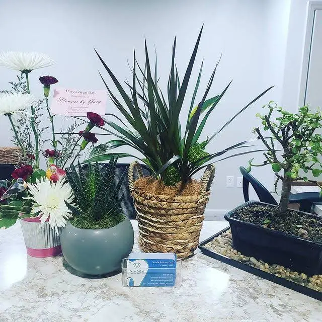 Diadem Family Dental