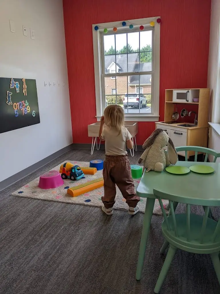 Hillsborough Pediatric Dentistry