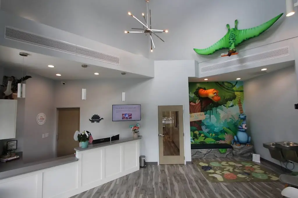 Big Little Smiles Pediatric Dentistry