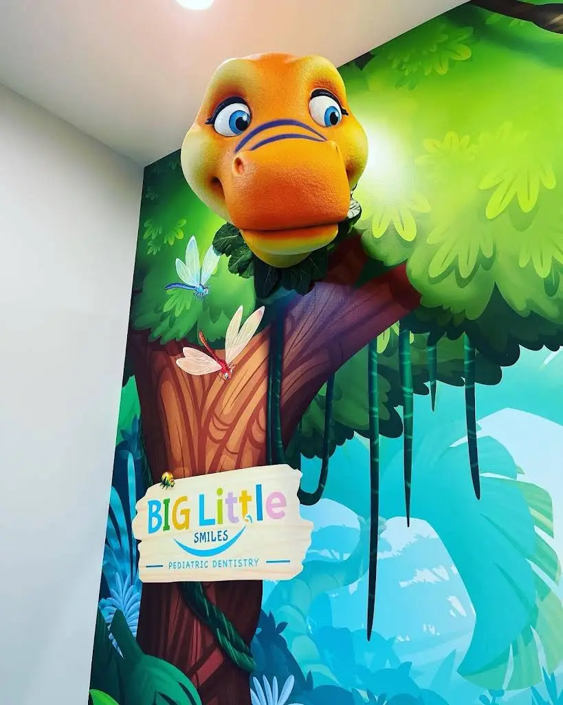 Big Little Smiles Pediatric Dentistry