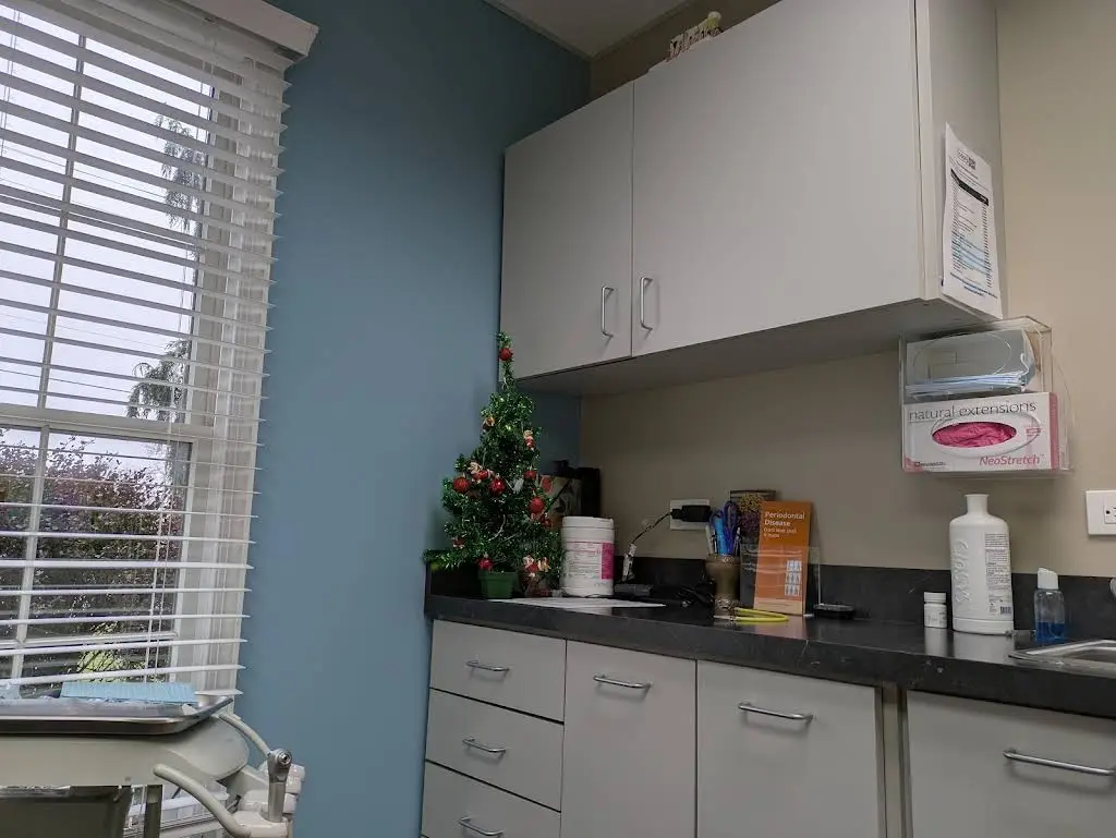 Northeastern Dental
