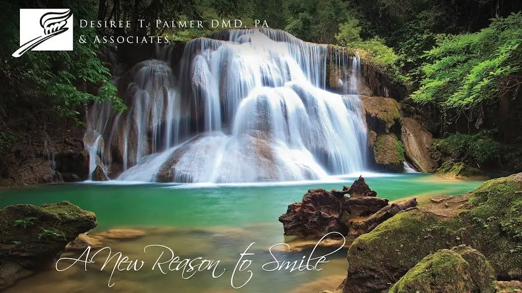 A New Reason to Smile / Desiree T. Palmer D.M.D., P.A. and Associates