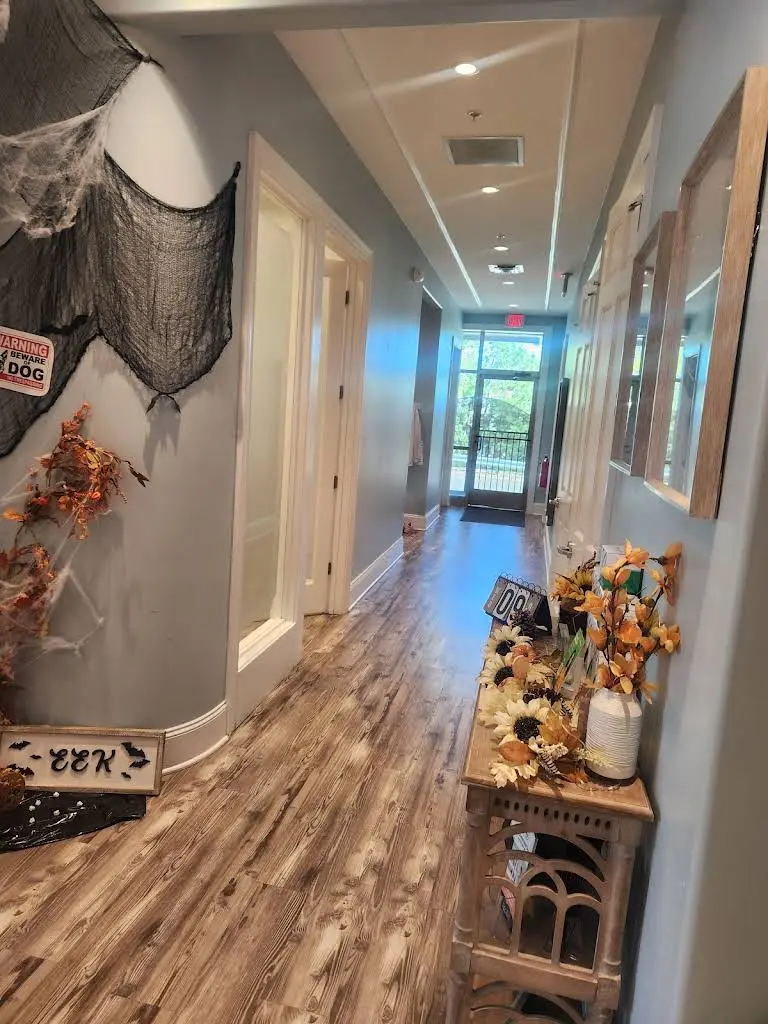 Triangle Family Dentistry
