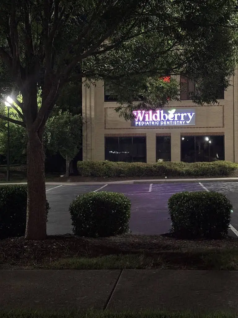 Wildberry Pediatric Dentistry