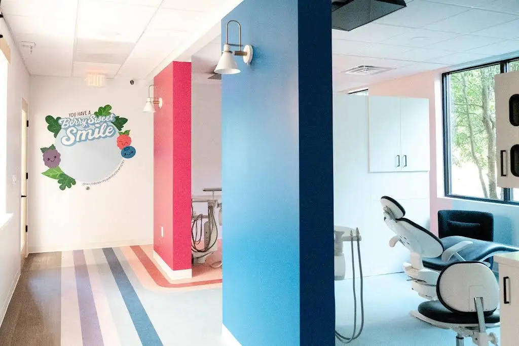 Wildberry Pediatric Dentistry