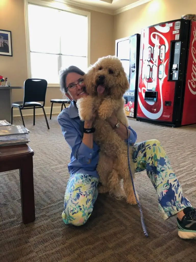 Rocky Mount Smilemakers Debra S Zombek & Associates, D.D.S.