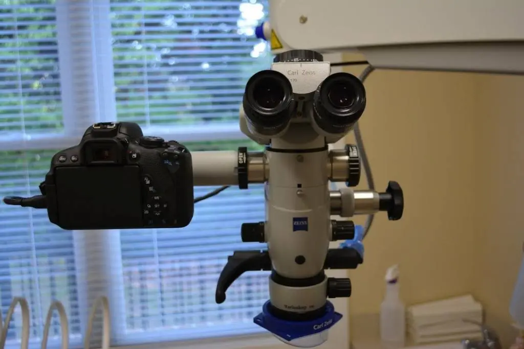 Raleigh Endodontics