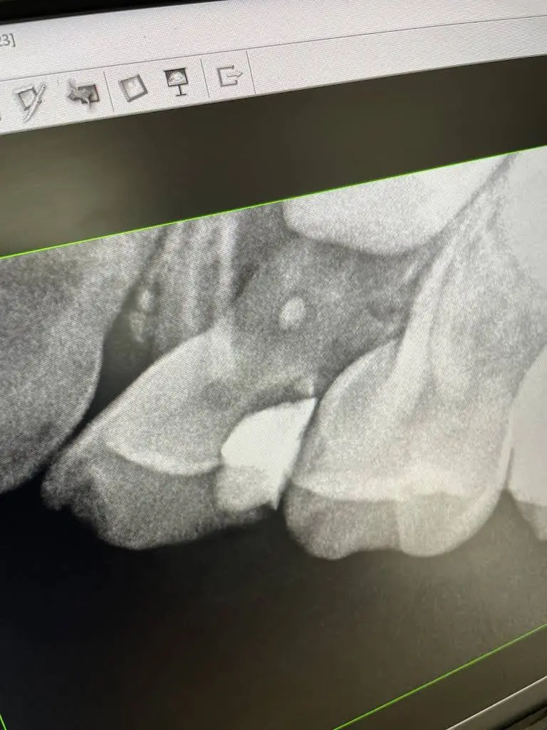 Advanced Dental Partners