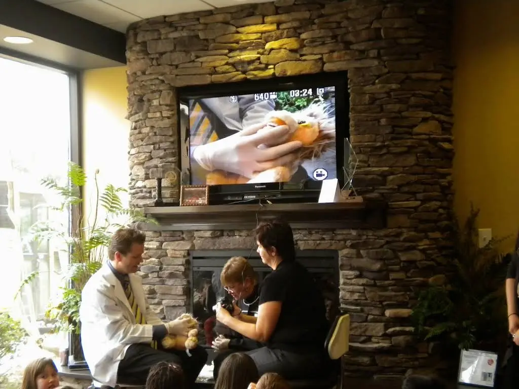 Wells Orthodontics