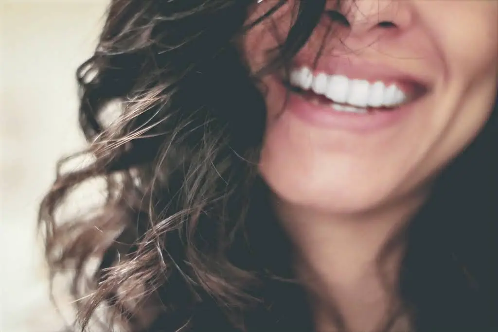 Park Forest Dental