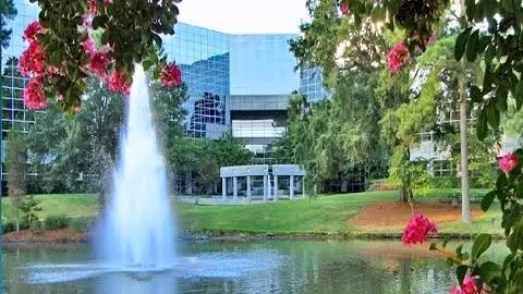 Frederick G. Lehmann, DDS, PA / Chapel Hill NC Dentistry