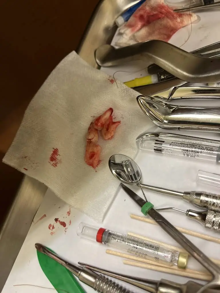 Morrison Dental Group