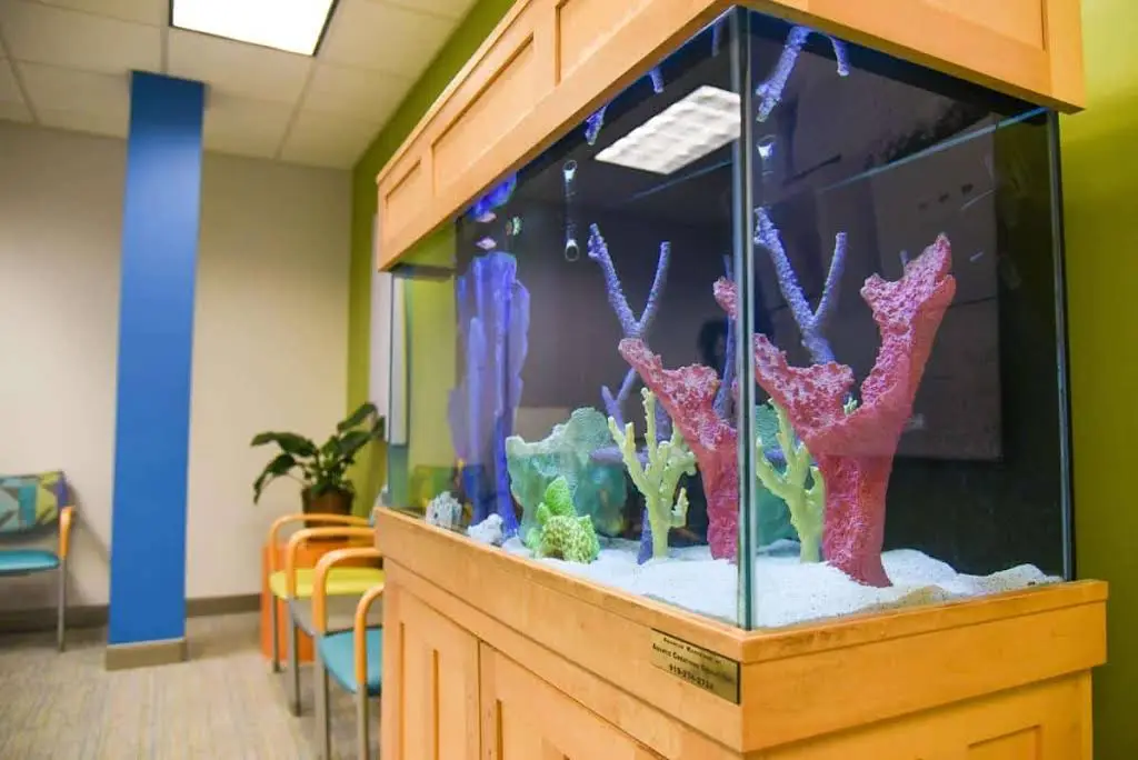 Wake Orthodontics & Pediatric Dentistry