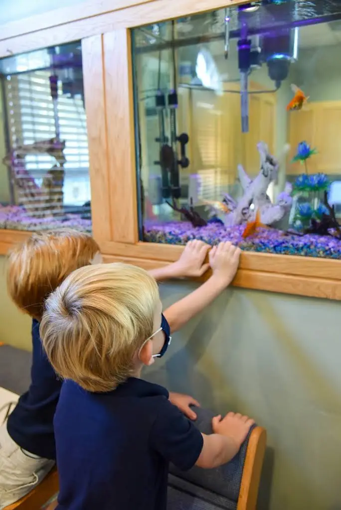 Tidewater Family Dentistry