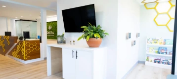 Little Bee's Pediatric Dentistry