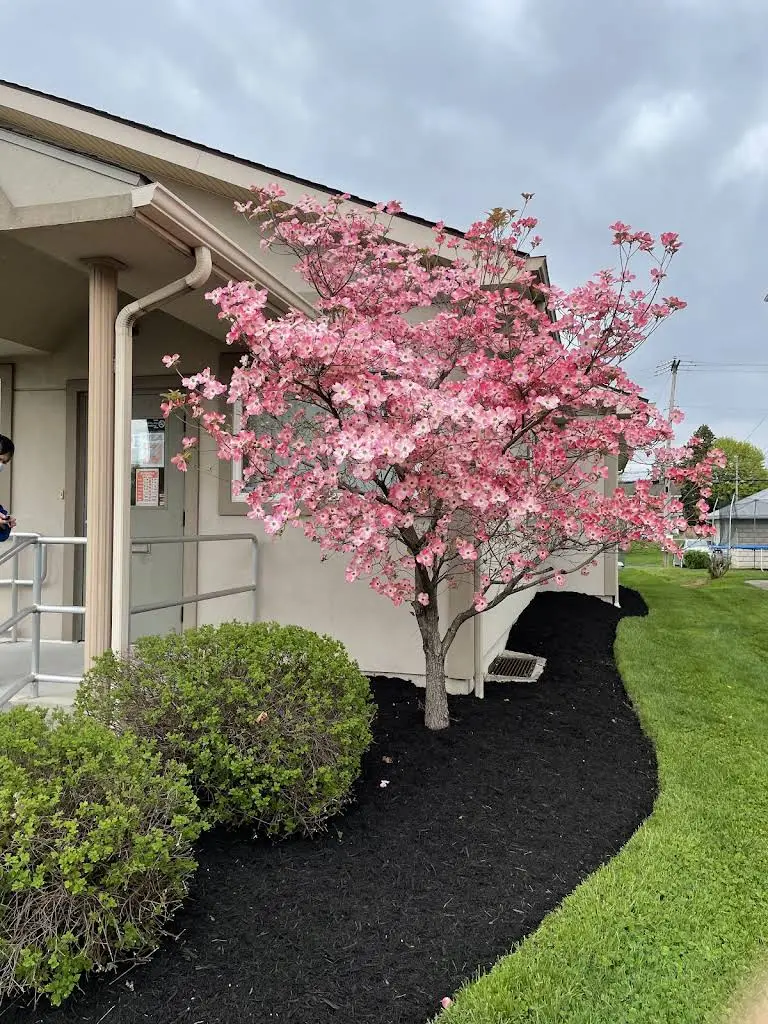 Mimosa Family Dentistry, P.C.