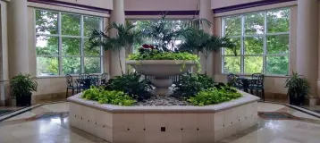 Cary Dental Center