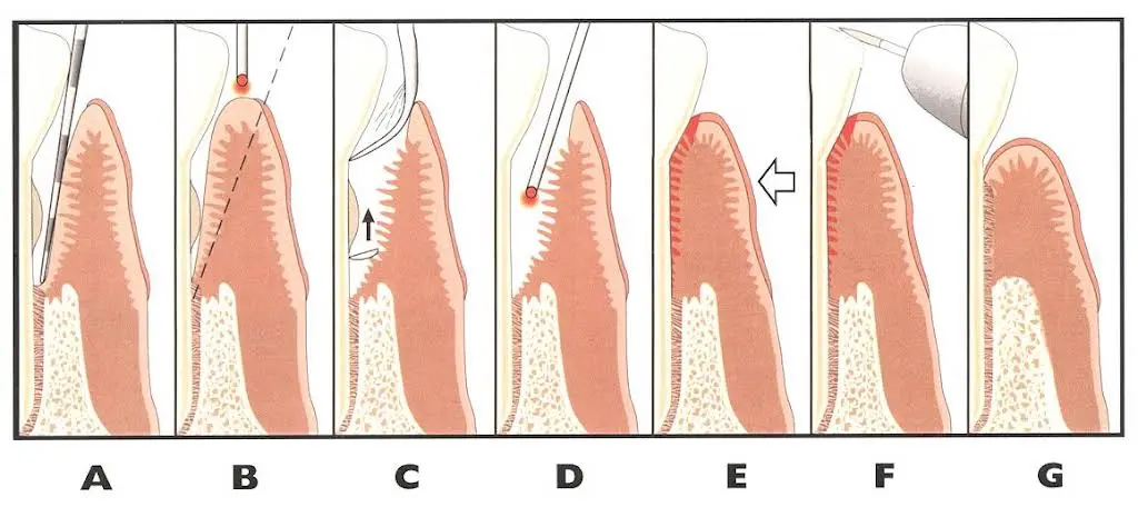 Cary Periodontics and Implant Dentistry