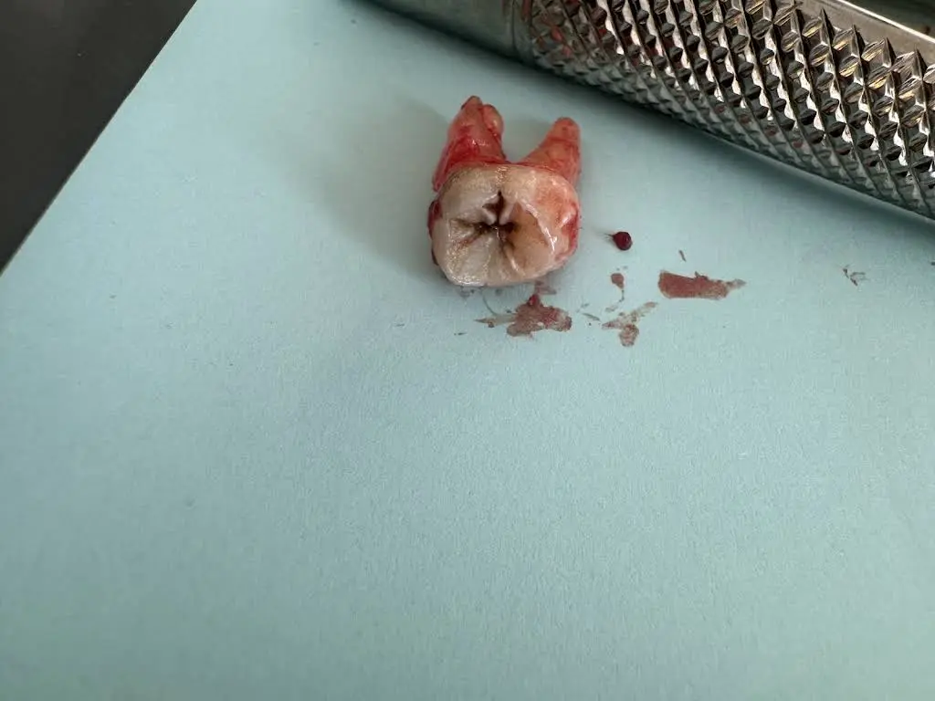Hampton Dental Center