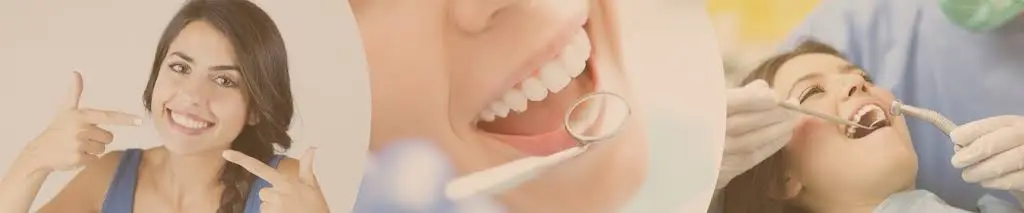 Catherine Lynn DDS