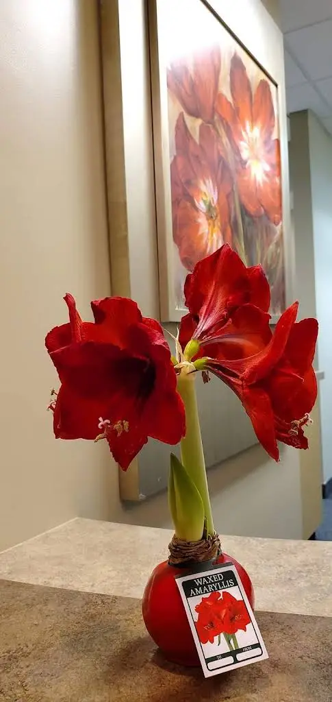 South Cary Dental