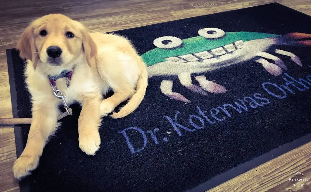 Koterwas Orthodontics