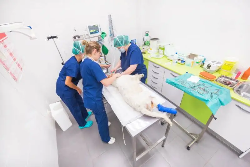 Lackey Clinic