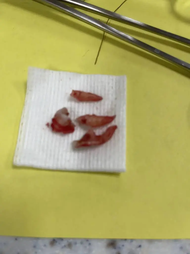 Smile Makers Dentistry PC
